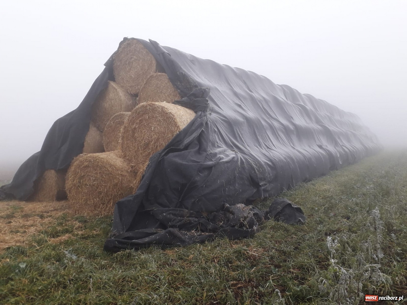 Zdjęcie w galerii na portalu naszraciborz.pl: Raport 998. 50 tys. złotych strat po pożarze w Owsiszczach wiadomości z regionu