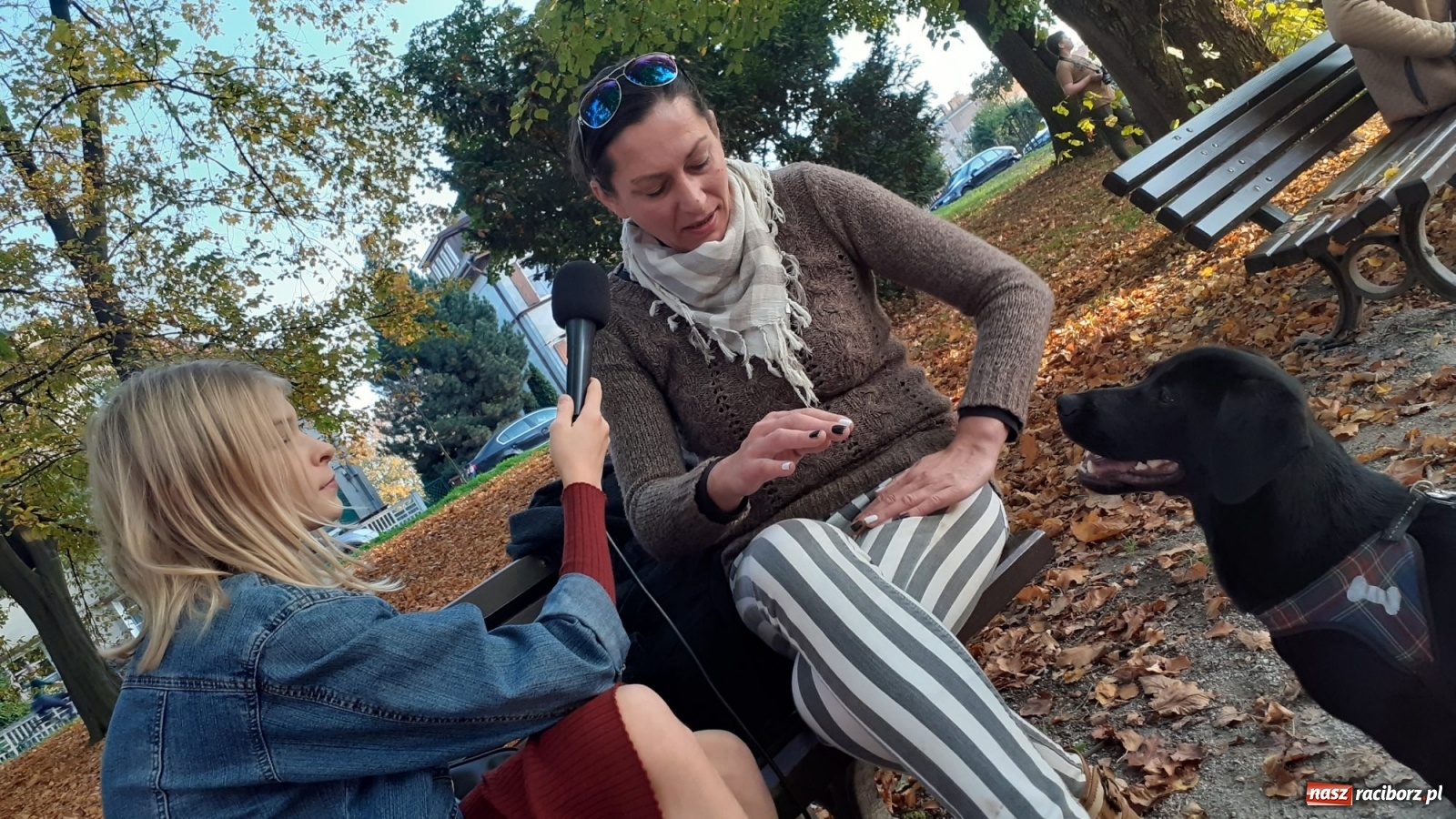 Zdjęcie w galerii na portalu naszraciborz.pl: Podaj łapę. Adoptuj! Borys ma nowy dom wiadomości z regionu