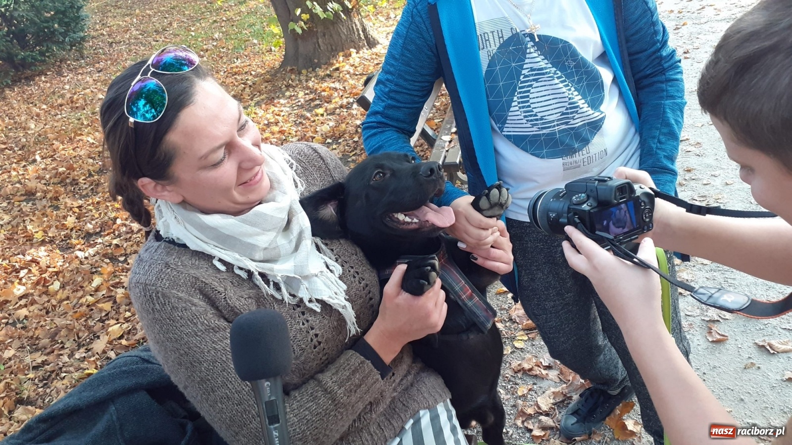 Zdjęcie w galerii na portalu naszraciborz.pl: Podaj łapę. Adoptuj! Borys ma nowy dom wiadomości z regionu