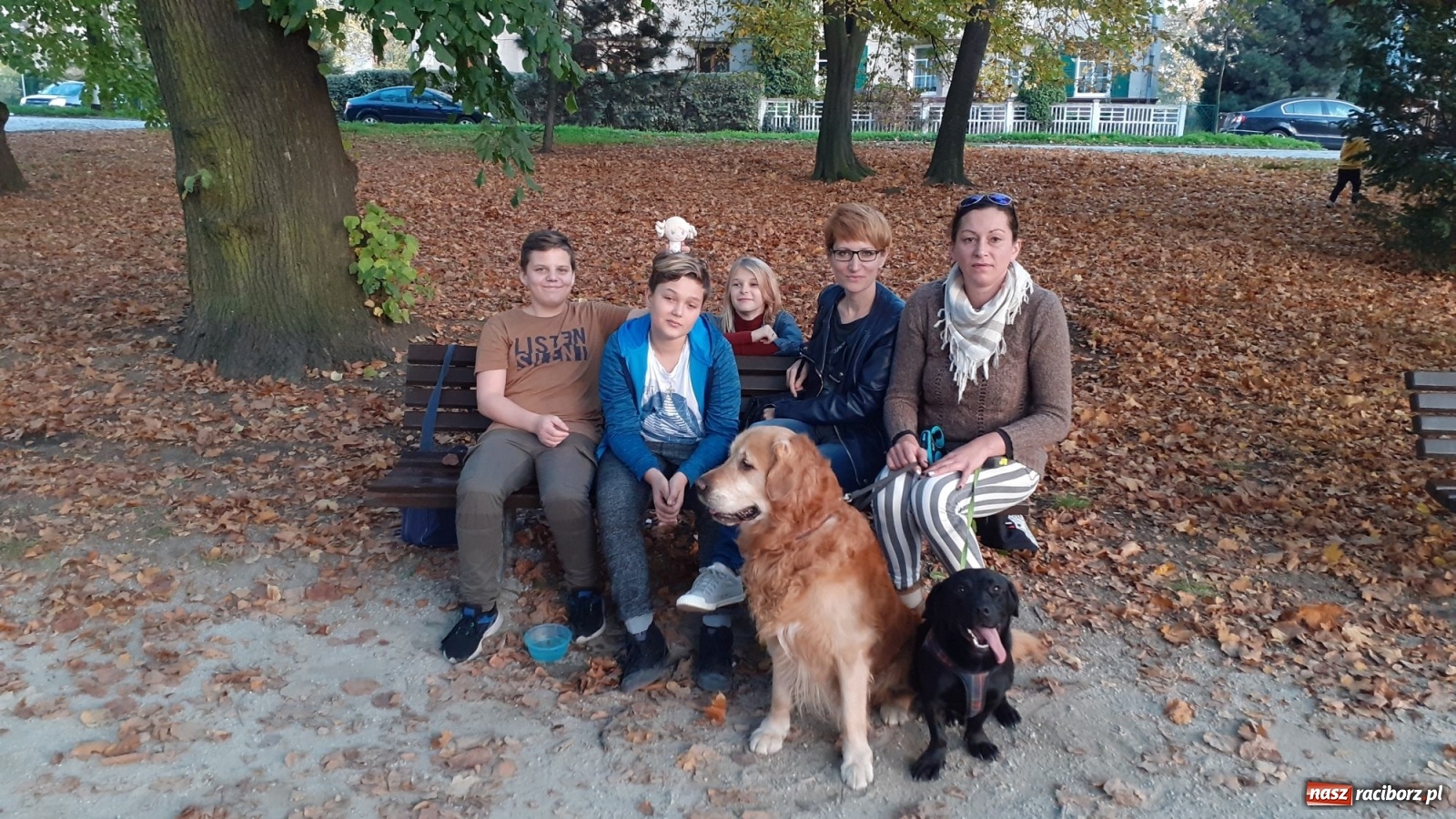 Zdjęcie w galerii na portalu naszraciborz.pl: Podaj łapę. Adoptuj! Borys ma nowy dom wiadomości z regionu