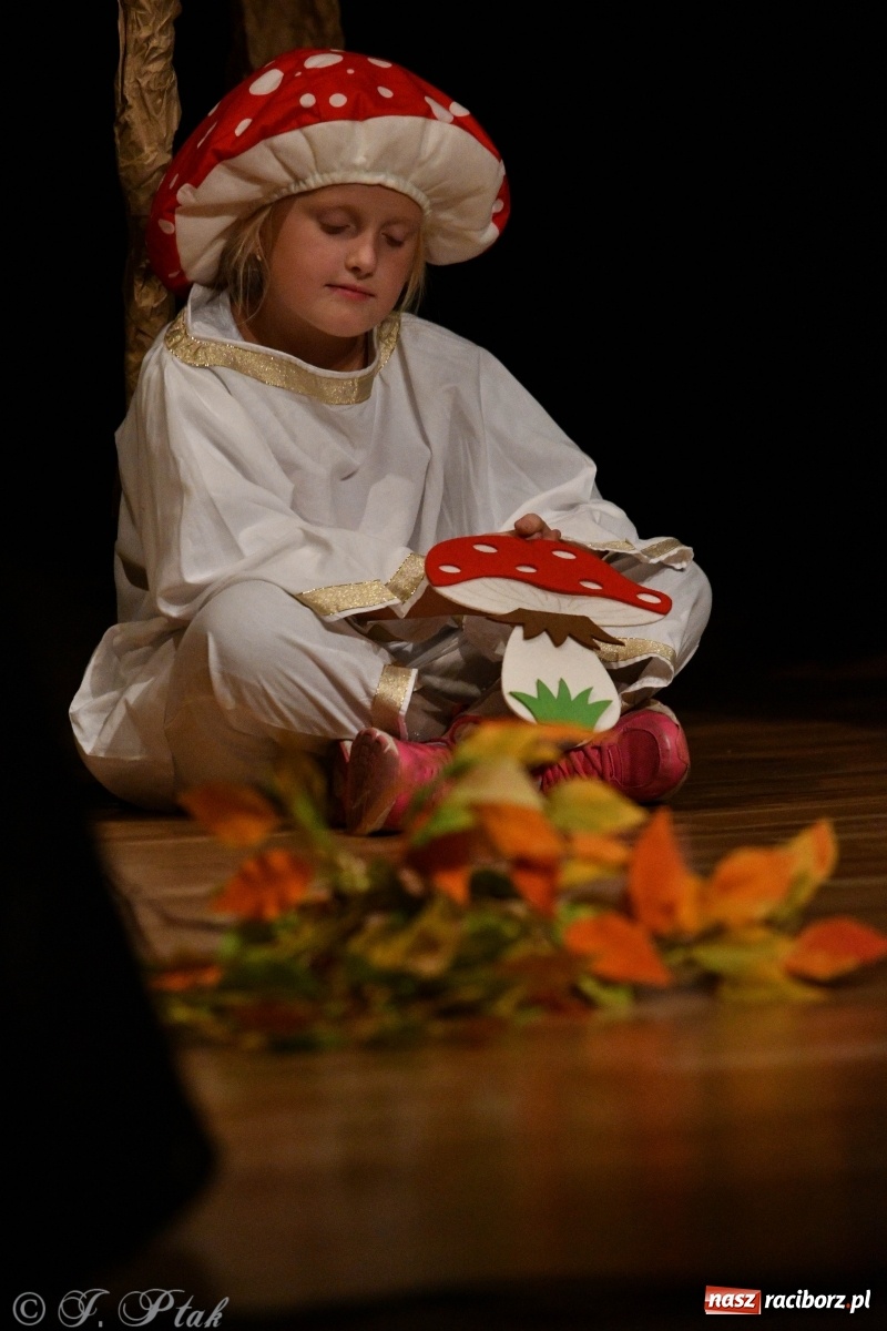 Zdjęcie w galerii na portalu naszraciborz.pl: Wieczór teatralny w MDK [FOTO i WIDEO] wiadomości z regionu