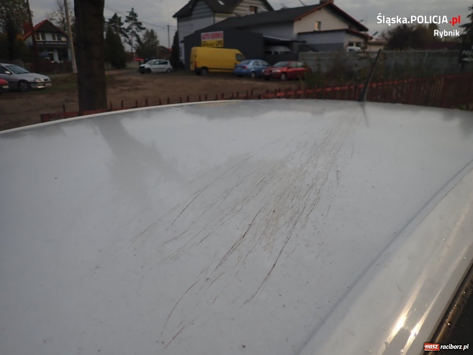 Zdjęcie w galerii na portalu naszraciborz.pl: Tak się kończy pijaństwo za kierownicą [FOTO]  wiadomości z regionu