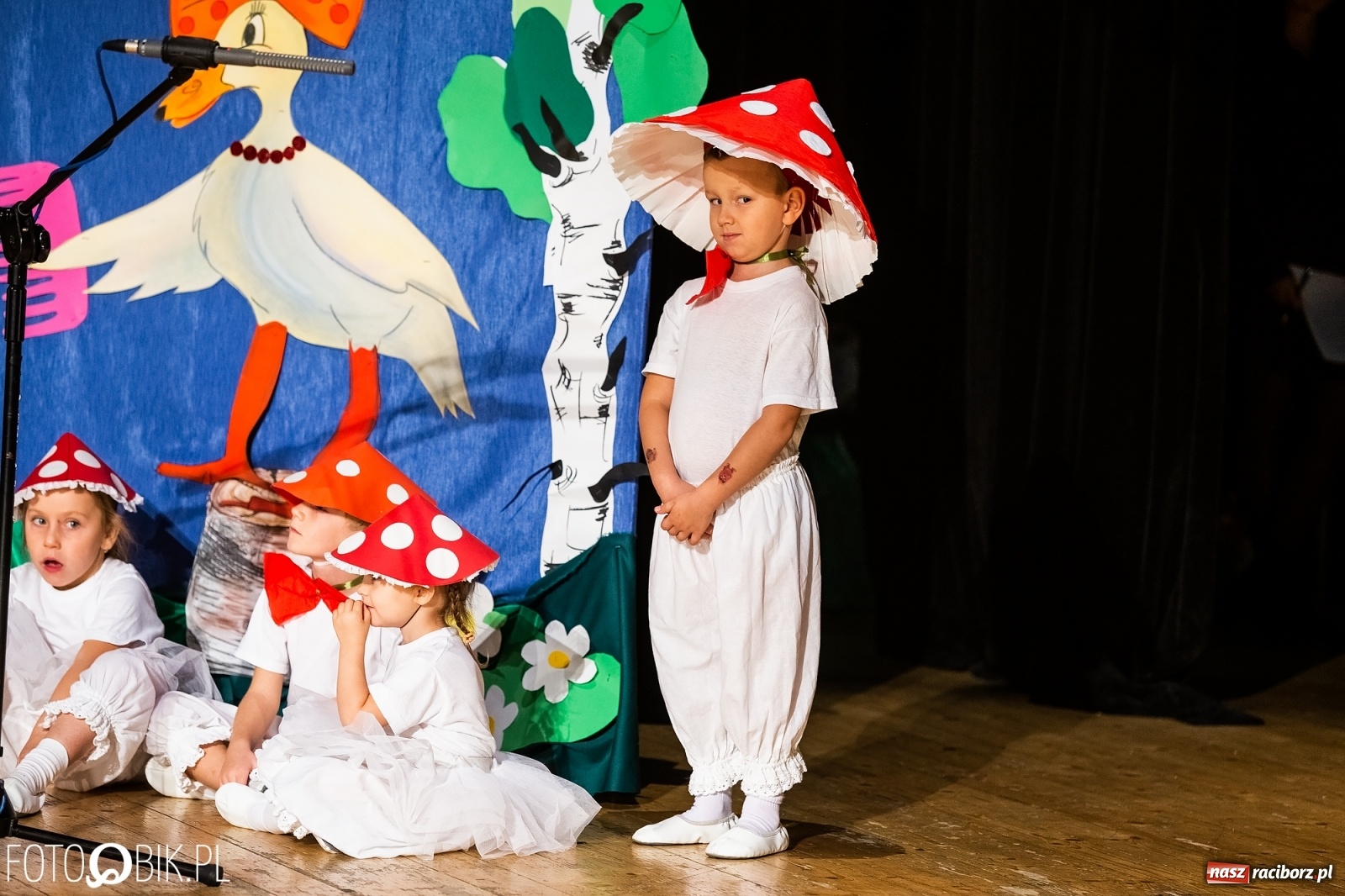 Zdjęcie w galerii na portalu naszraciborz.pl: Gala XI Mini Festiwalu Przedszkolaków wiadomości z regionu