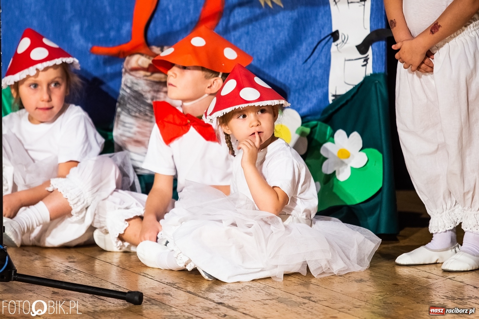 Zdjęcie w galerii na portalu naszraciborz.pl: Gala XI Mini Festiwalu Przedszkolaków wiadomości z regionu