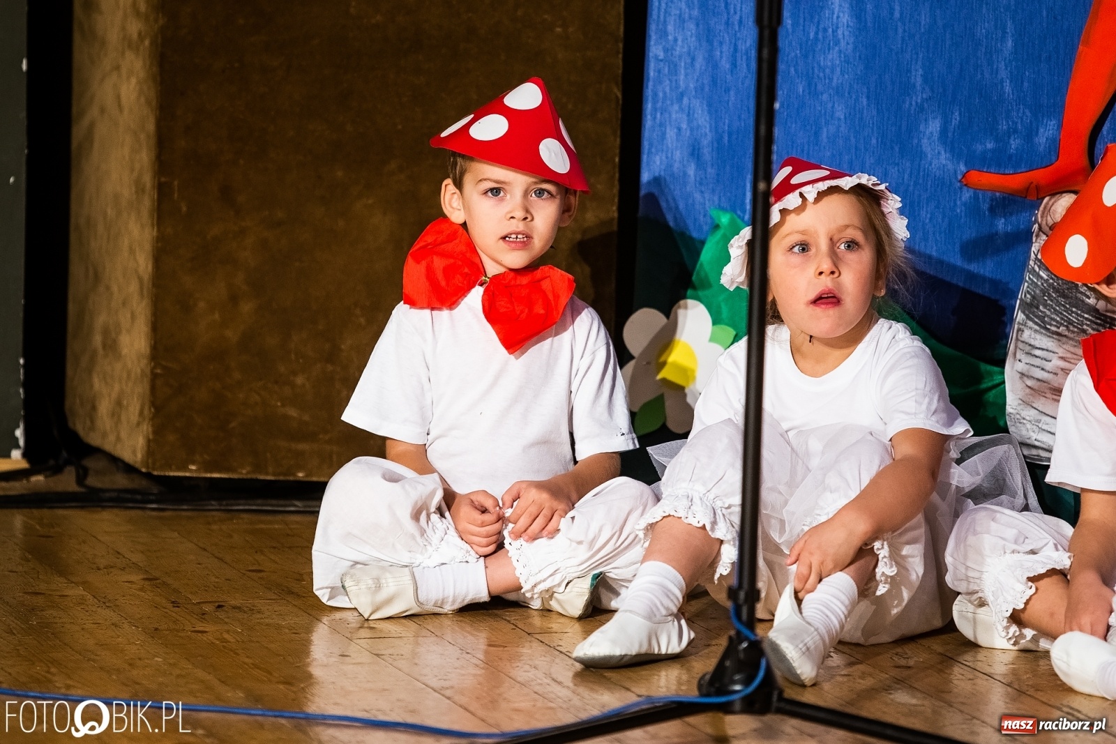 Zdjęcie w galerii na portalu naszraciborz.pl: Gala XI Mini Festiwalu Przedszkolaków wiadomości z regionu