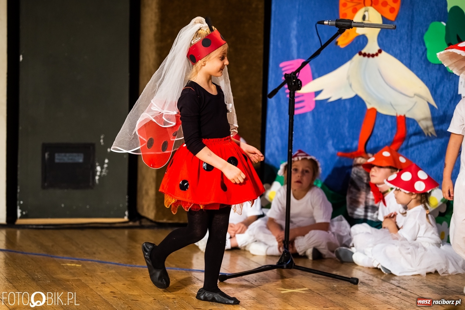 Zdjęcie w galerii na portalu naszraciborz.pl: Gala XI Mini Festiwalu Przedszkolaków wiadomości z regionu