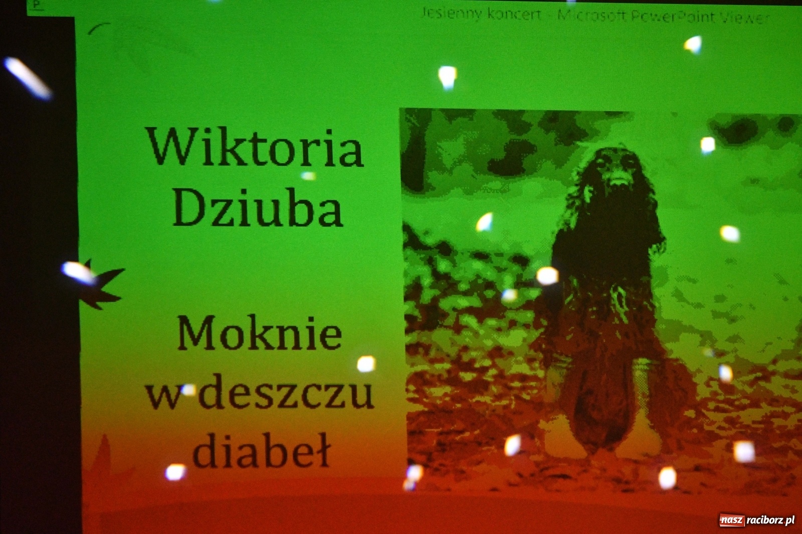 Zdjęcie w galerii na portalu naszraciborz.pl: Na jesienną nutę. Wieczór z piosenką w MDK  wiadomości z regionu