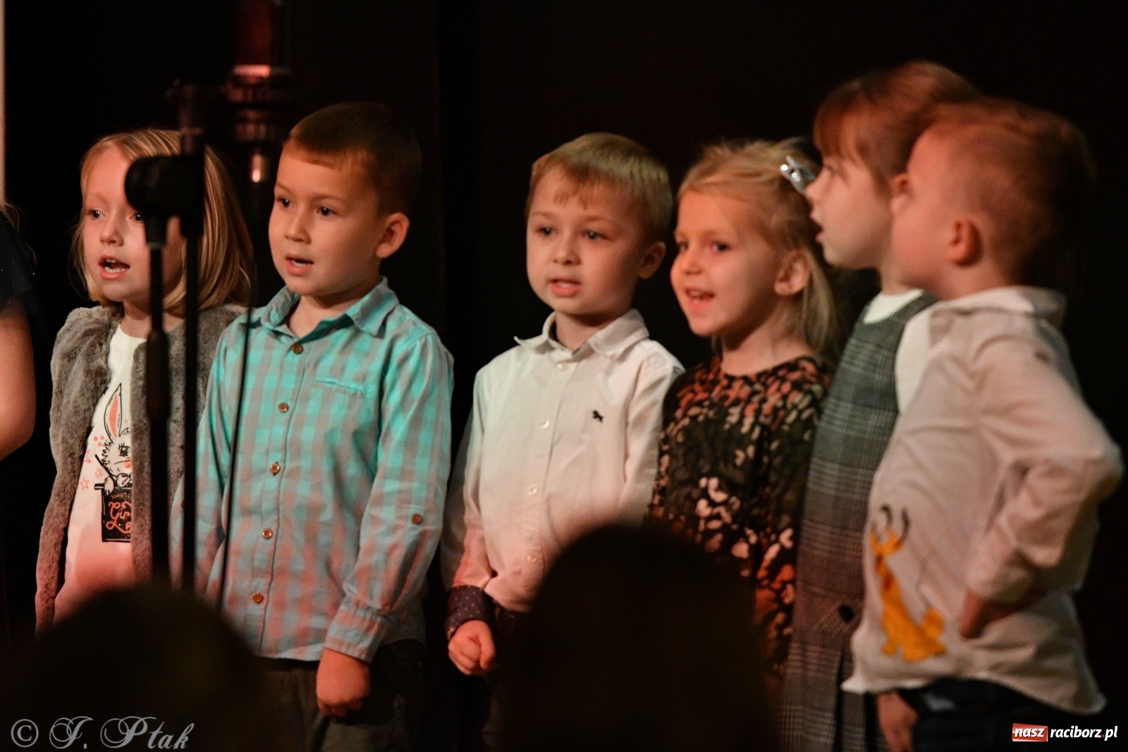 Zdjęcie w galerii na portalu naszraciborz.pl: Zamek zabrzmiał jesienną muzyką [FOTO i WIDEO] wiadomości z regionu