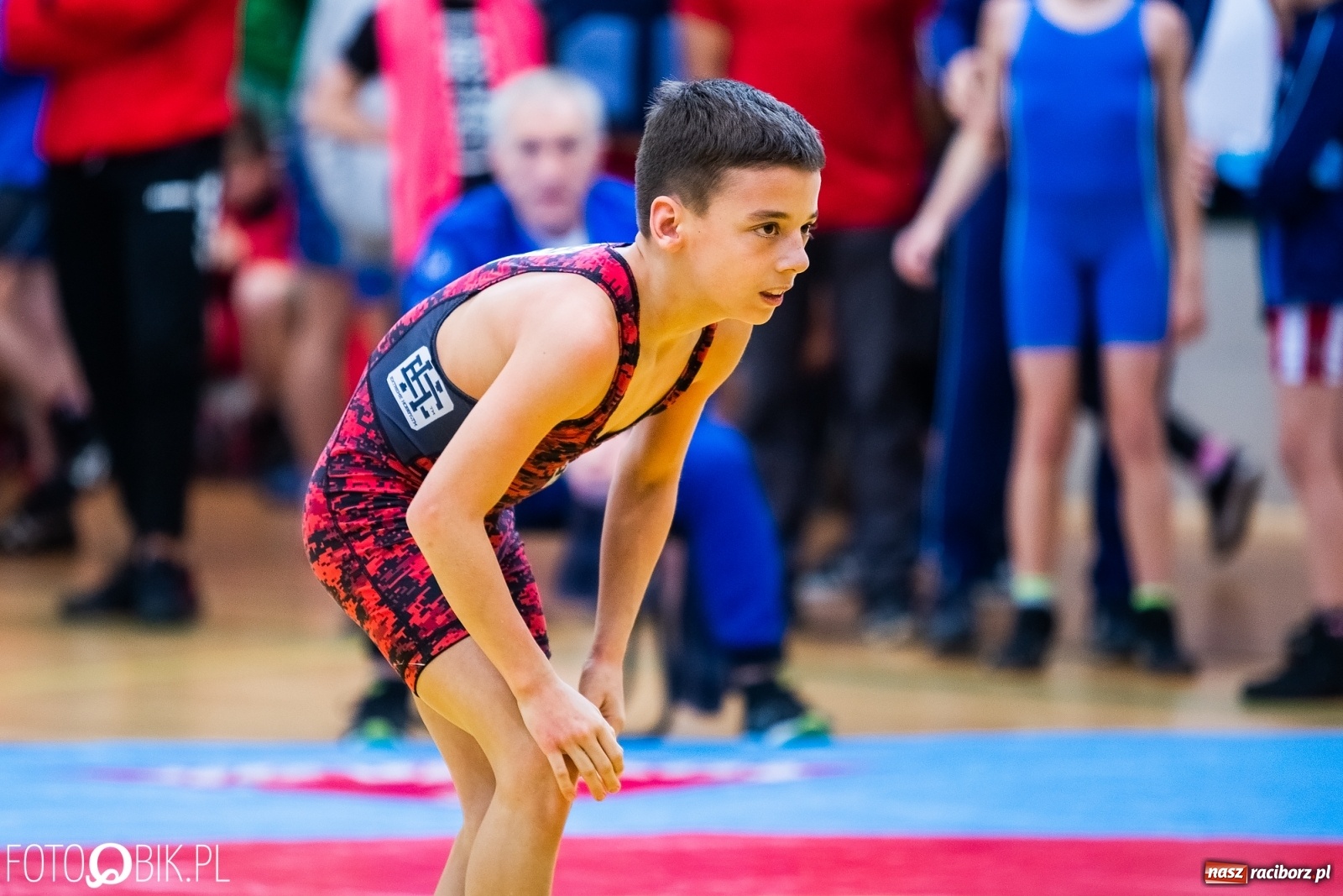 Zdjęcie w galerii na portalu naszraciborz.pl: Mistrzostwa Polski Młodzików w Zapasach w Arenie Rafako wiadomości z regionu