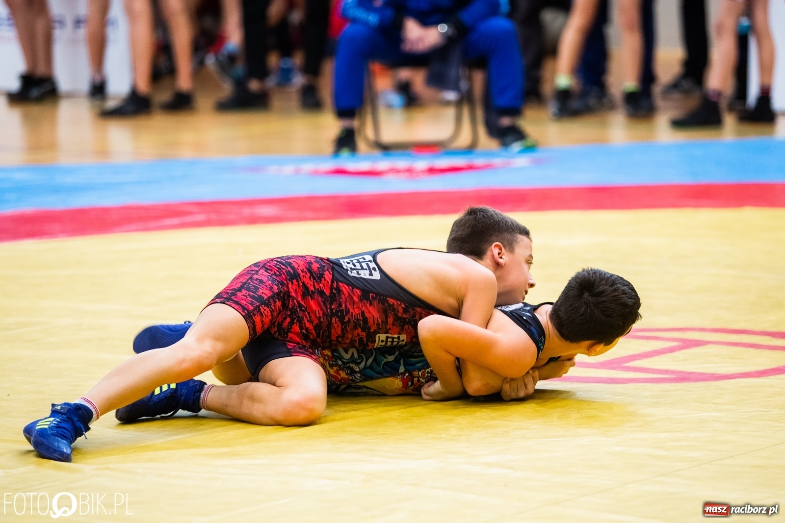 Zdjęcie w galerii na portalu naszraciborz.pl: Mistrzostwa Polski Młodzików w Zapasach w Arenie Rafako wiadomości z regionu