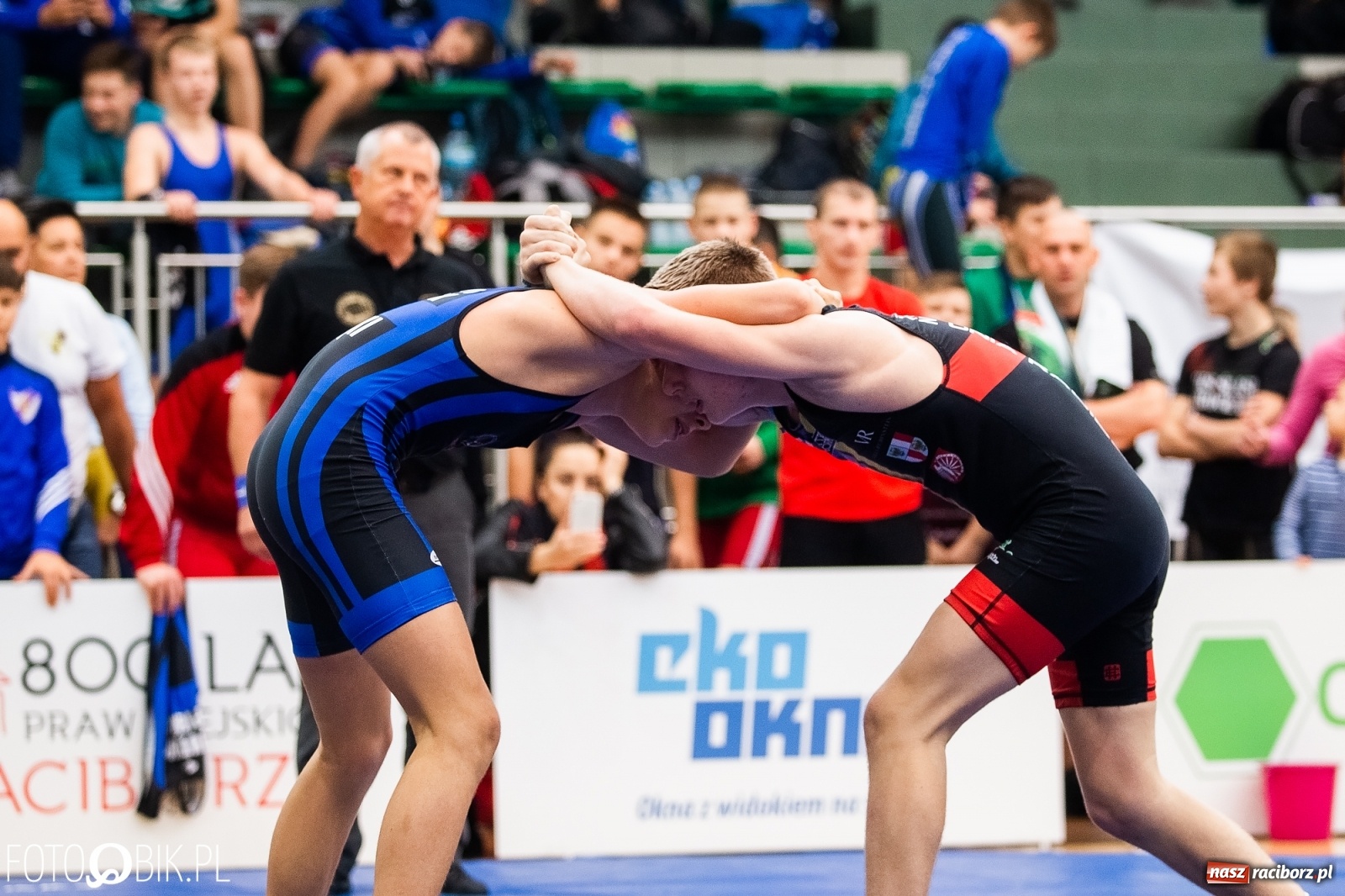 Zdjęcie w galerii na portalu naszraciborz.pl: Mistrzostwa Polski Młodzików w Zapasach w Arenie Rafako wiadomości z regionu