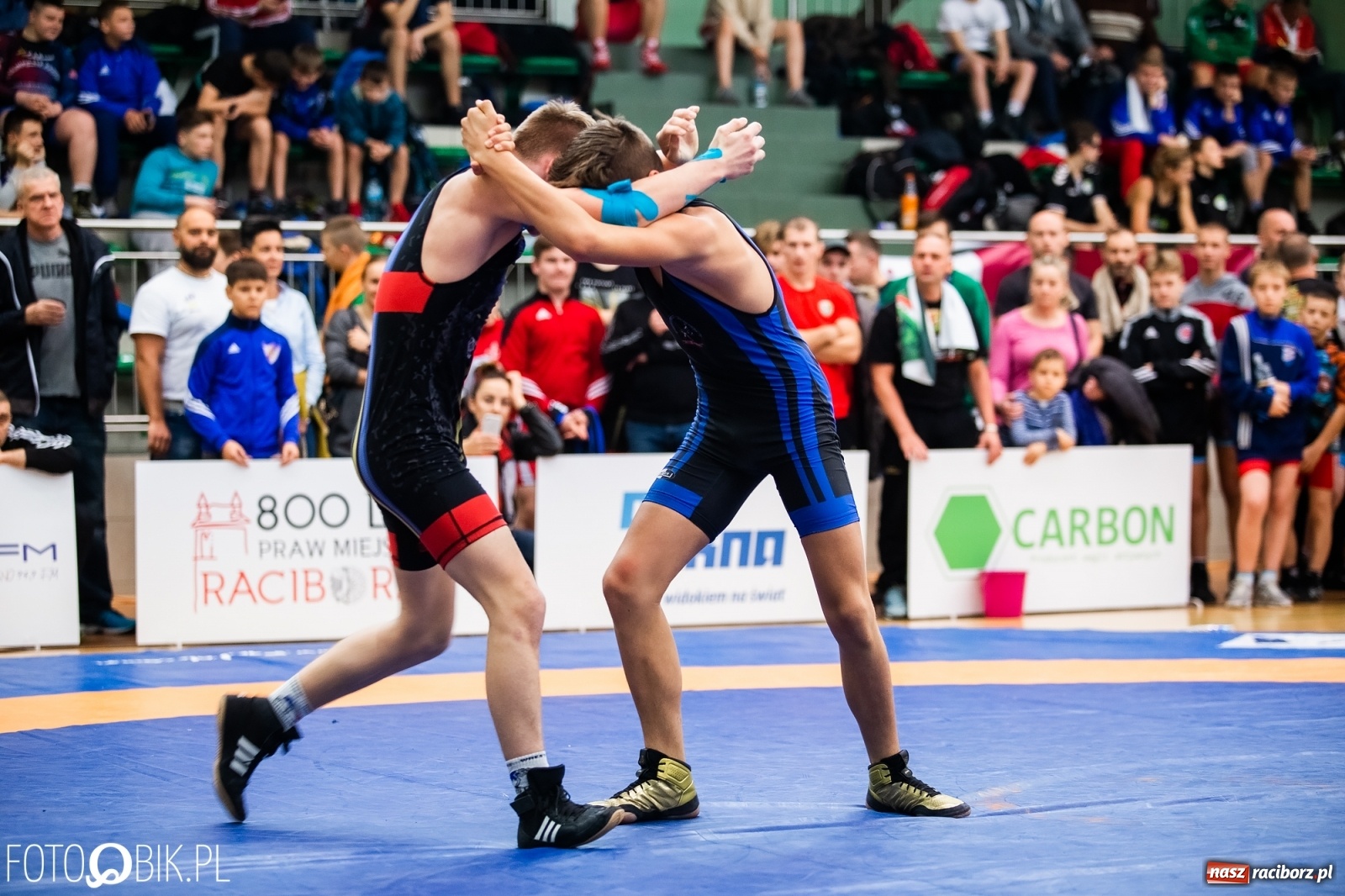 Zdjęcie w galerii na portalu naszraciborz.pl: Mistrzostwa Polski Młodzików w Zapasach w Arenie Rafako wiadomości z regionu