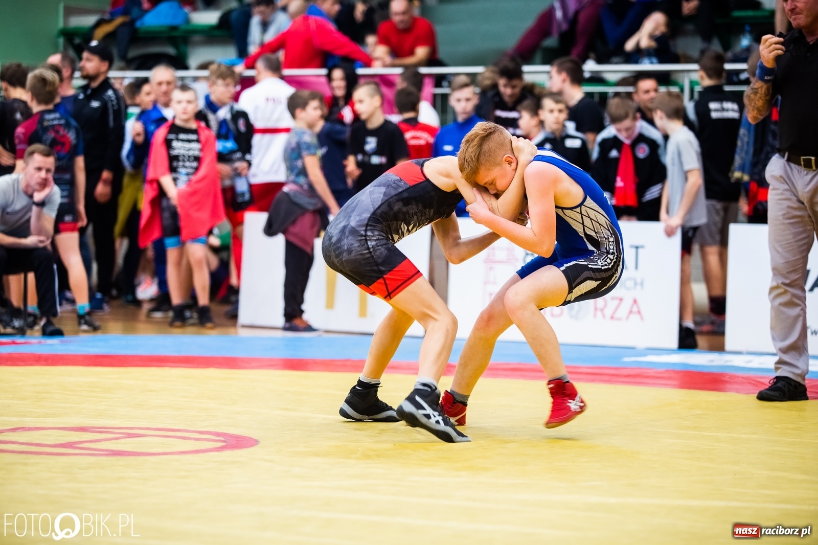 Zdjęcie w galerii na portalu naszraciborz.pl: Mistrzostwa Polski Młodzików w Zapasach w Arenie Rafako wiadomości z regionu