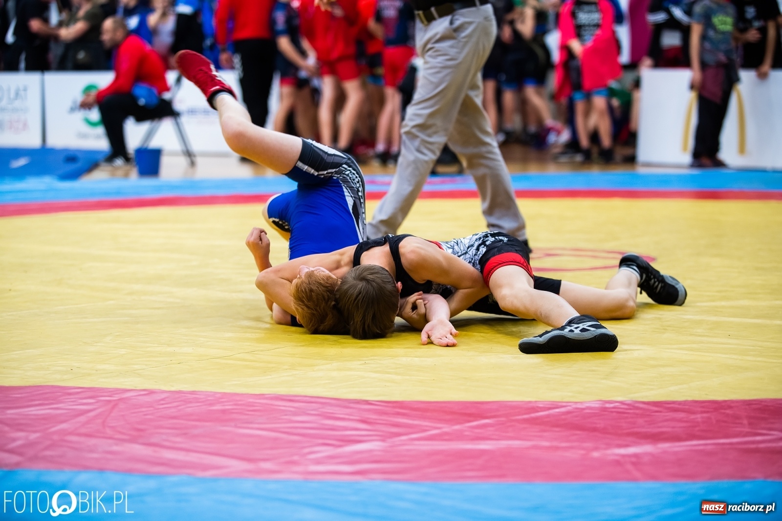 Zdjęcie w galerii na portalu naszraciborz.pl: Mistrzostwa Polski Młodzików w Zapasach w Arenie Rafako wiadomości z regionu
