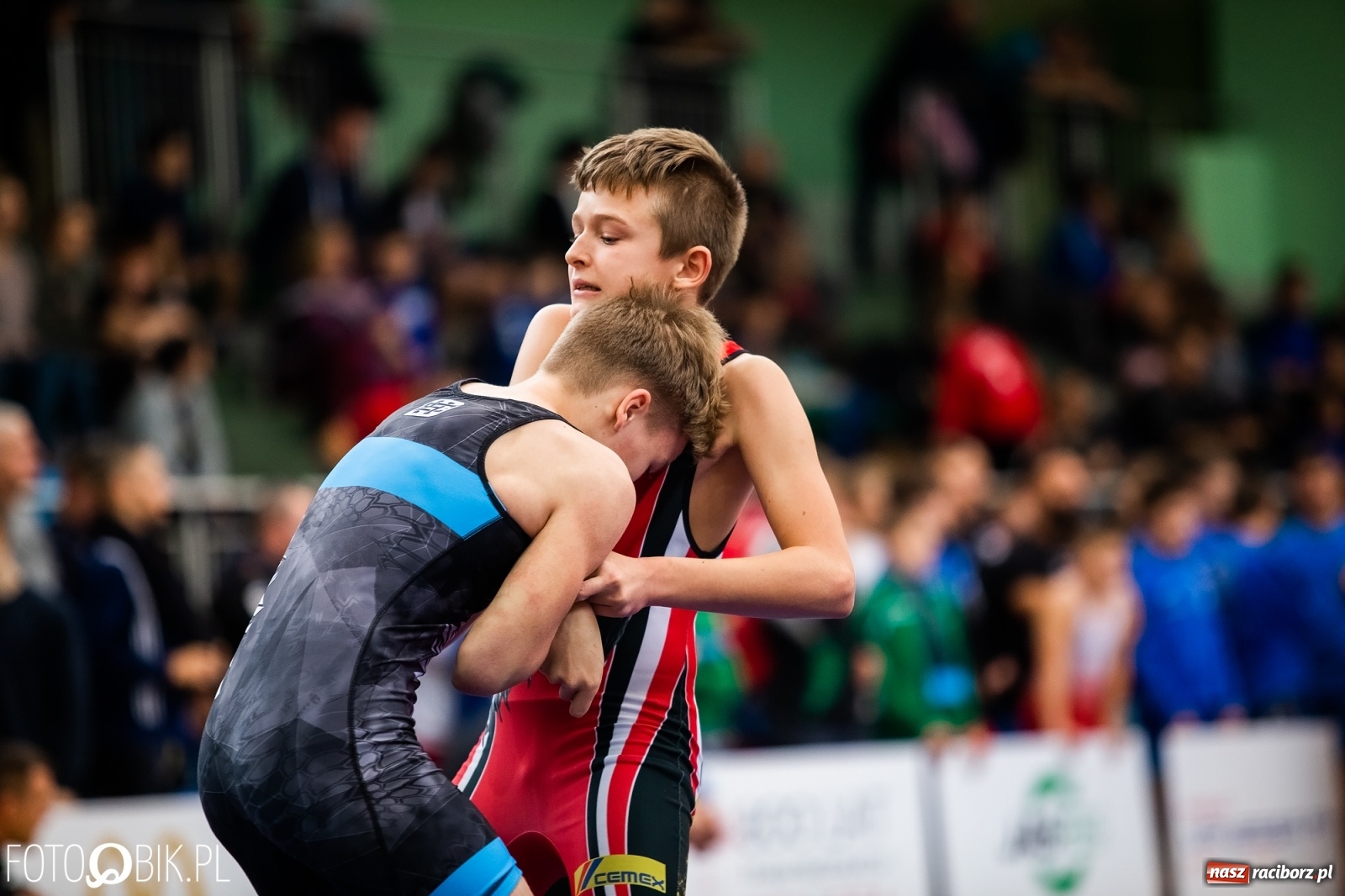 Zdjęcie w galerii na portalu naszraciborz.pl: Mistrzostwa Polski Młodzików w Zapasach w Arenie Rafako wiadomości z regionu