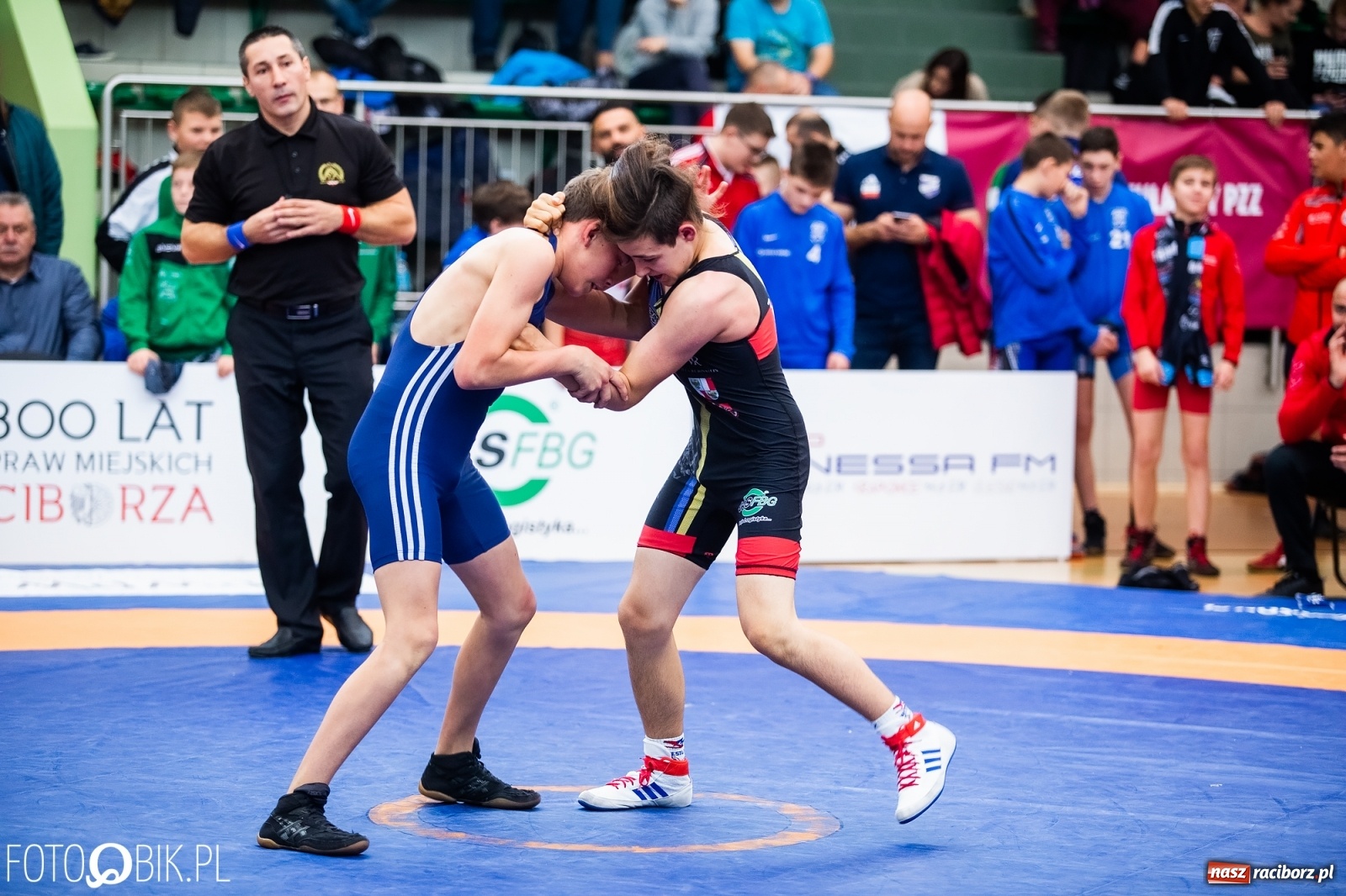 Zdjęcie w galerii na portalu naszraciborz.pl: Mistrzostwa Polski Młodzików w Zapasach w Arenie Rafako wiadomości z regionu