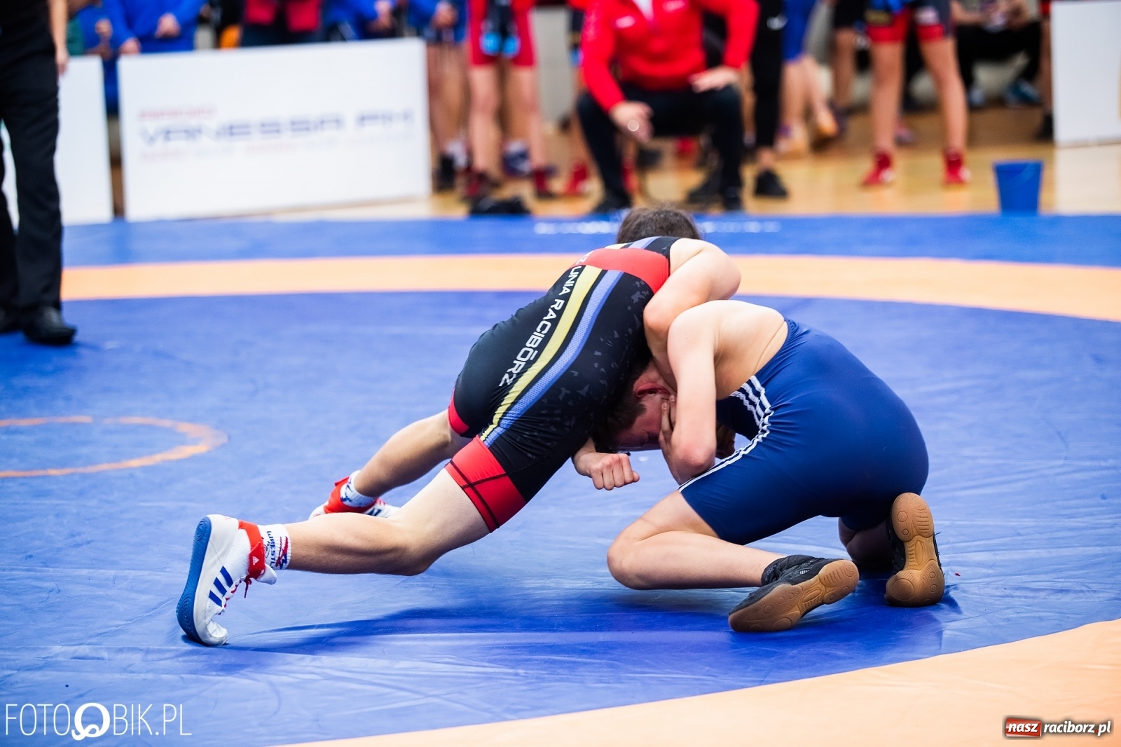 Zdjęcie w galerii na portalu naszraciborz.pl: Mistrzostwa Polski Młodzików w Zapasach w Arenie Rafako wiadomości z regionu