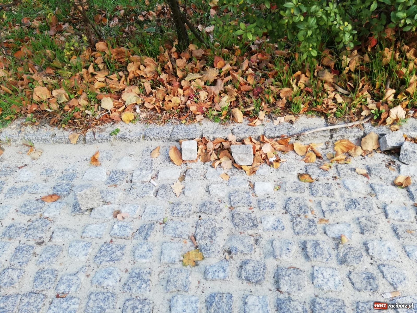 Zdjęcie w galerii na portalu naszraciborz.pl: Bruk na Nowej do naprawy wiadomości z regionu