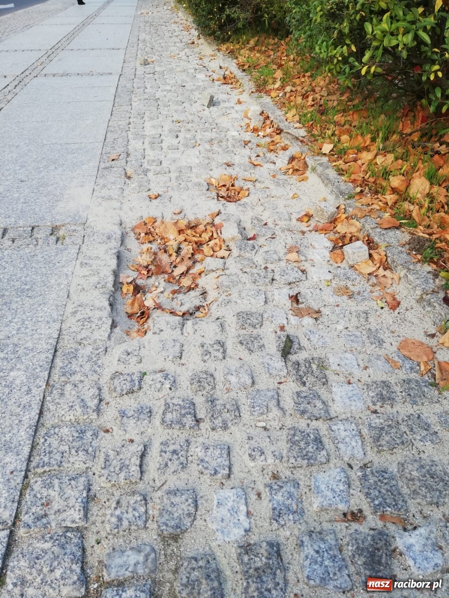 Zdjęcie w galerii na portalu naszraciborz.pl: Bruk na Nowej do naprawy wiadomości z regionu