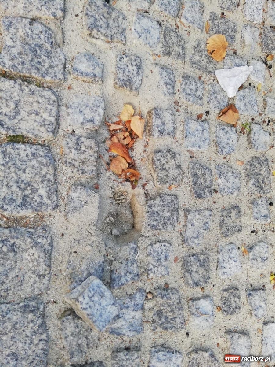 Zdjęcie w galerii na portalu naszraciborz.pl: Bruk na Nowej do naprawy wiadomości z regionu