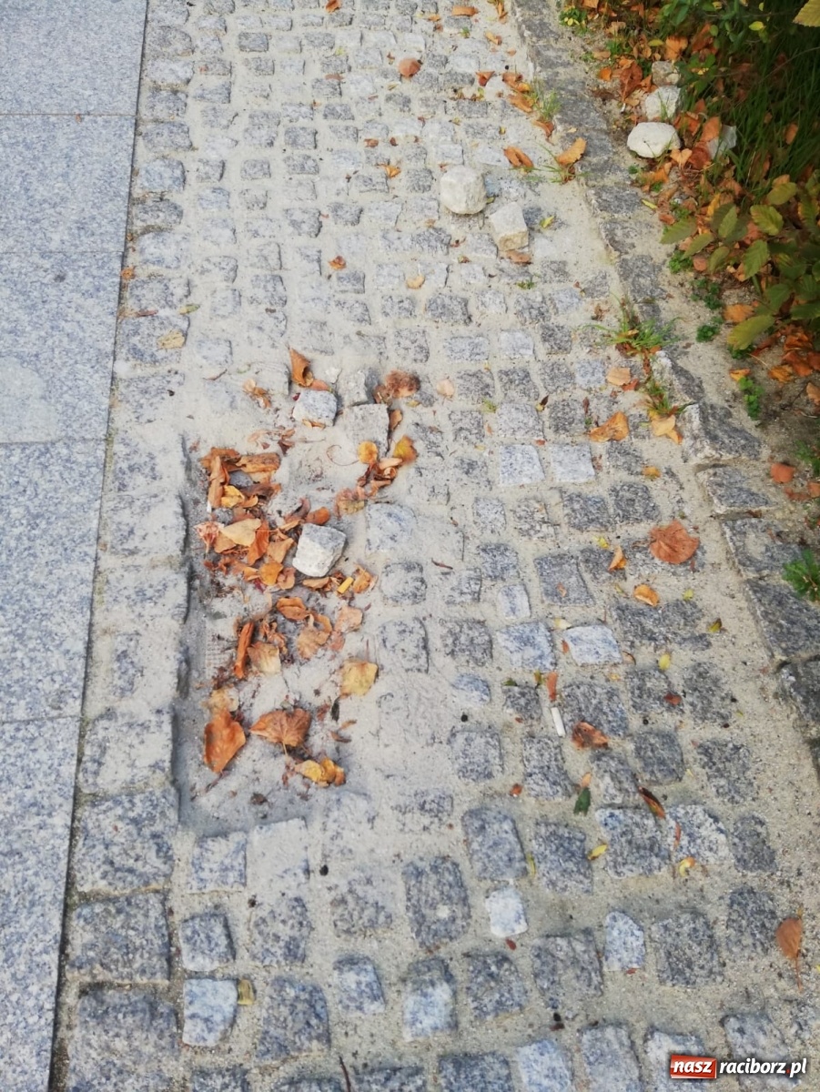 Zdjęcie w galerii na portalu naszraciborz.pl: Bruk na Nowej do naprawy wiadomości z regionu