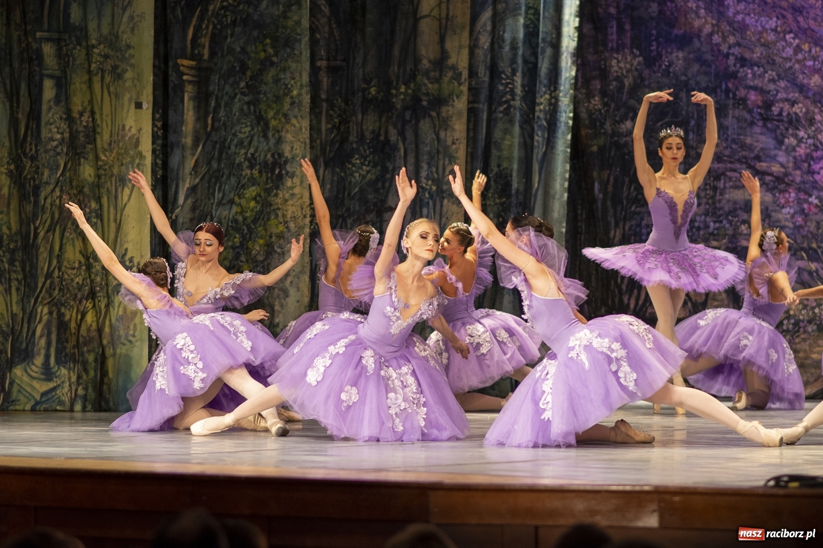 Zdjęcie w galerii na portalu naszraciborz.pl: Śpiąca królewna na deskach RCK [FOTO] wiadomości z regionu