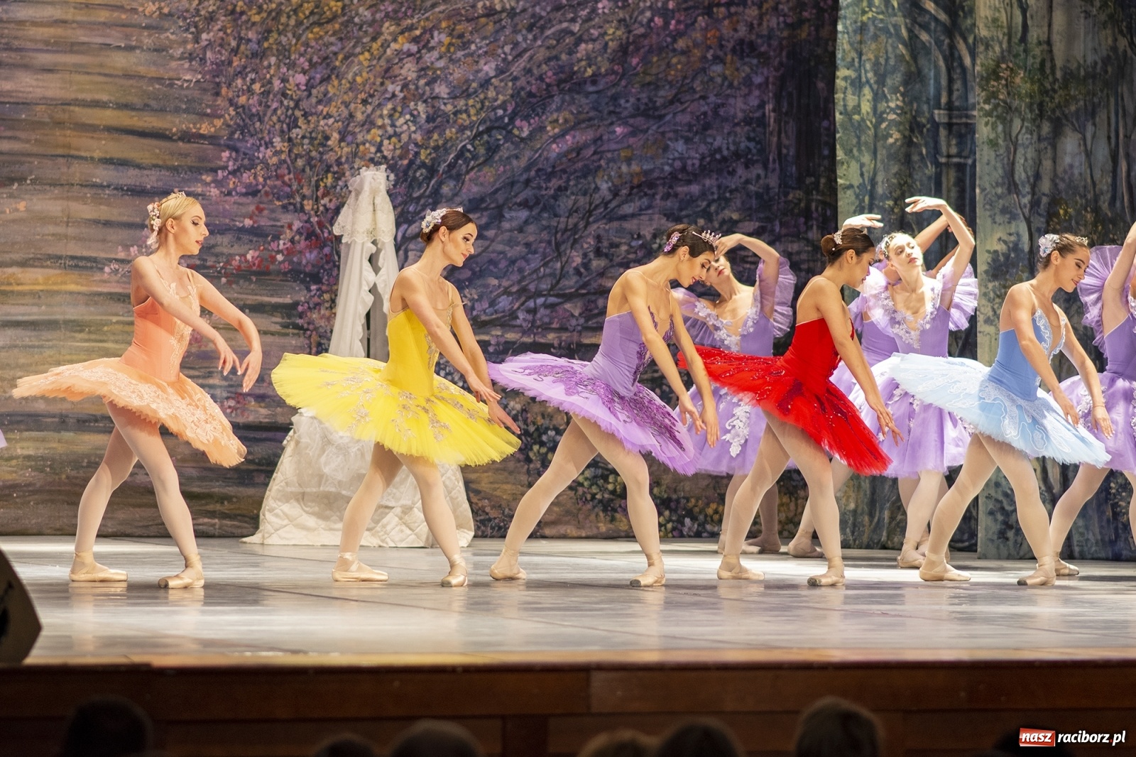 Zdjęcie w galerii na portalu naszraciborz.pl: Śpiąca królewna na deskach RCK [FOTO] wiadomości z regionu