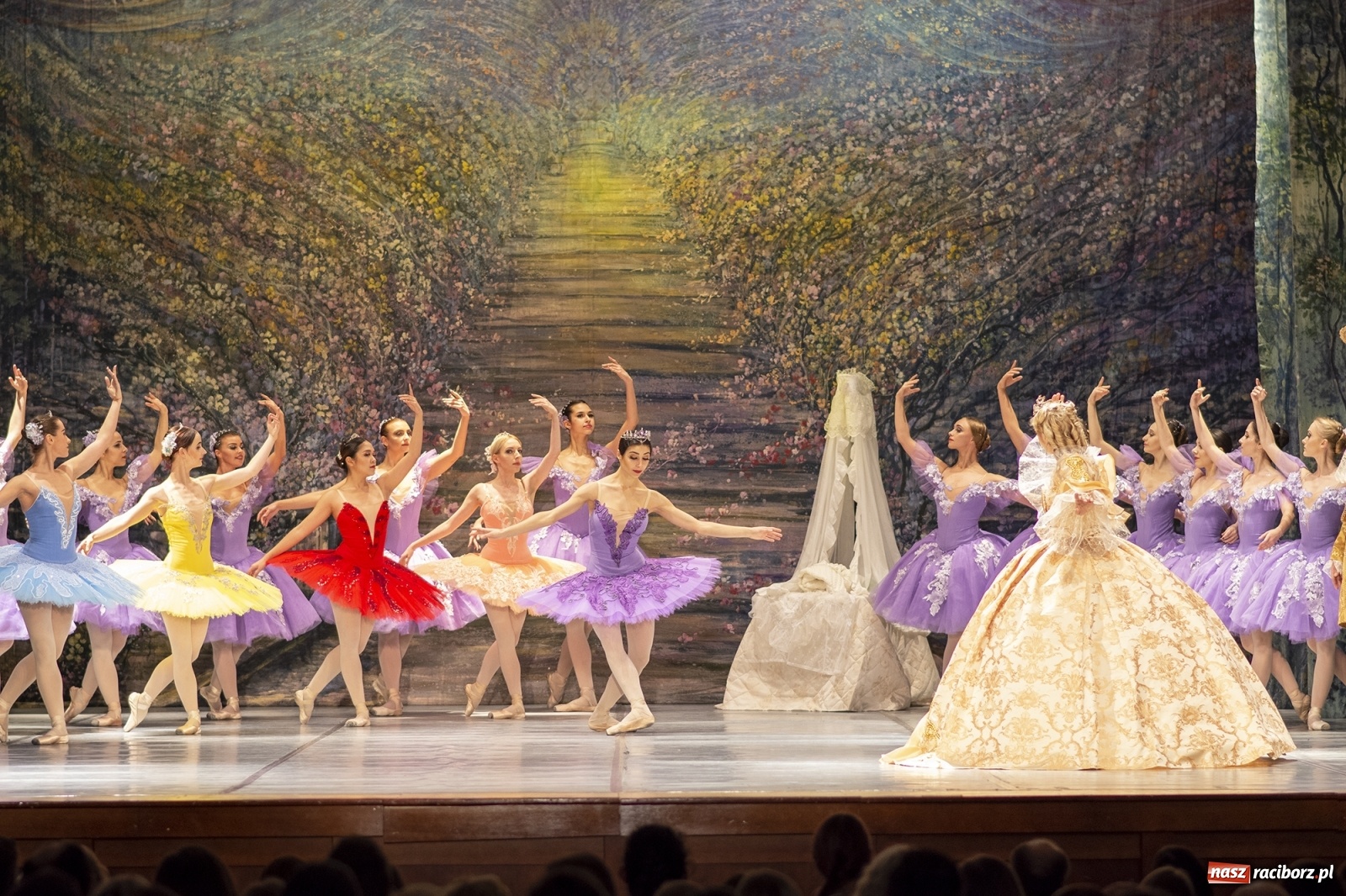 Zdjęcie w galerii na portalu naszraciborz.pl: Śpiąca królewna na deskach RCK [FOTO] wiadomości z regionu