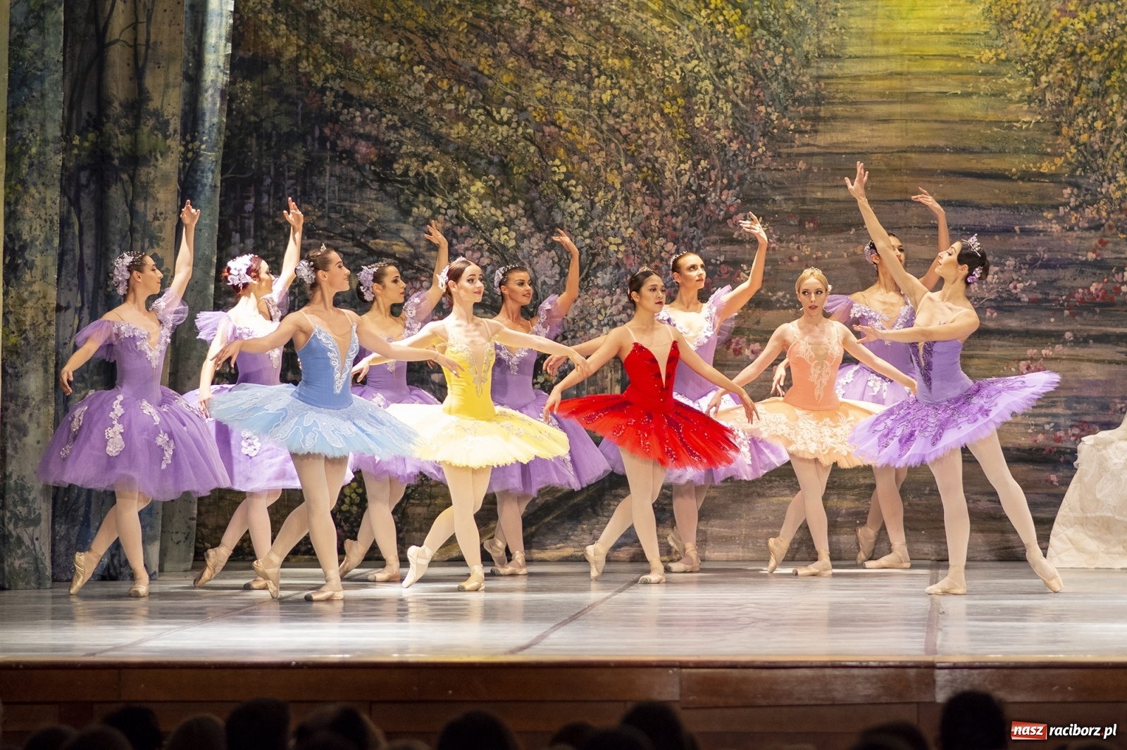 Zdjęcie w galerii na portalu naszraciborz.pl: Śpiąca królewna na deskach RCK [FOTO] wiadomości z regionu