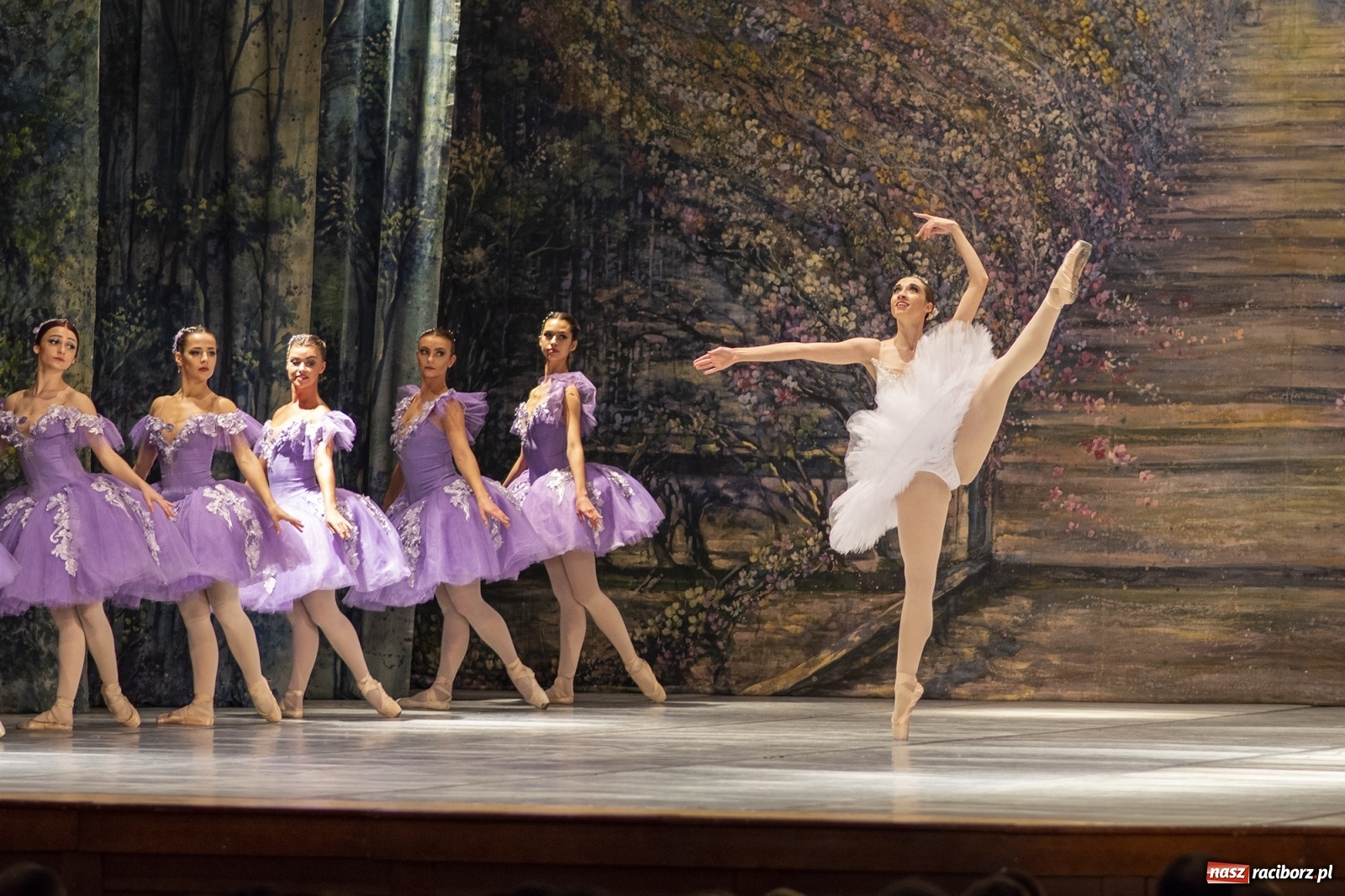Zdjęcie w galerii na portalu naszraciborz.pl: Śpiąca królewna na deskach RCK [FOTO] wiadomości z regionu