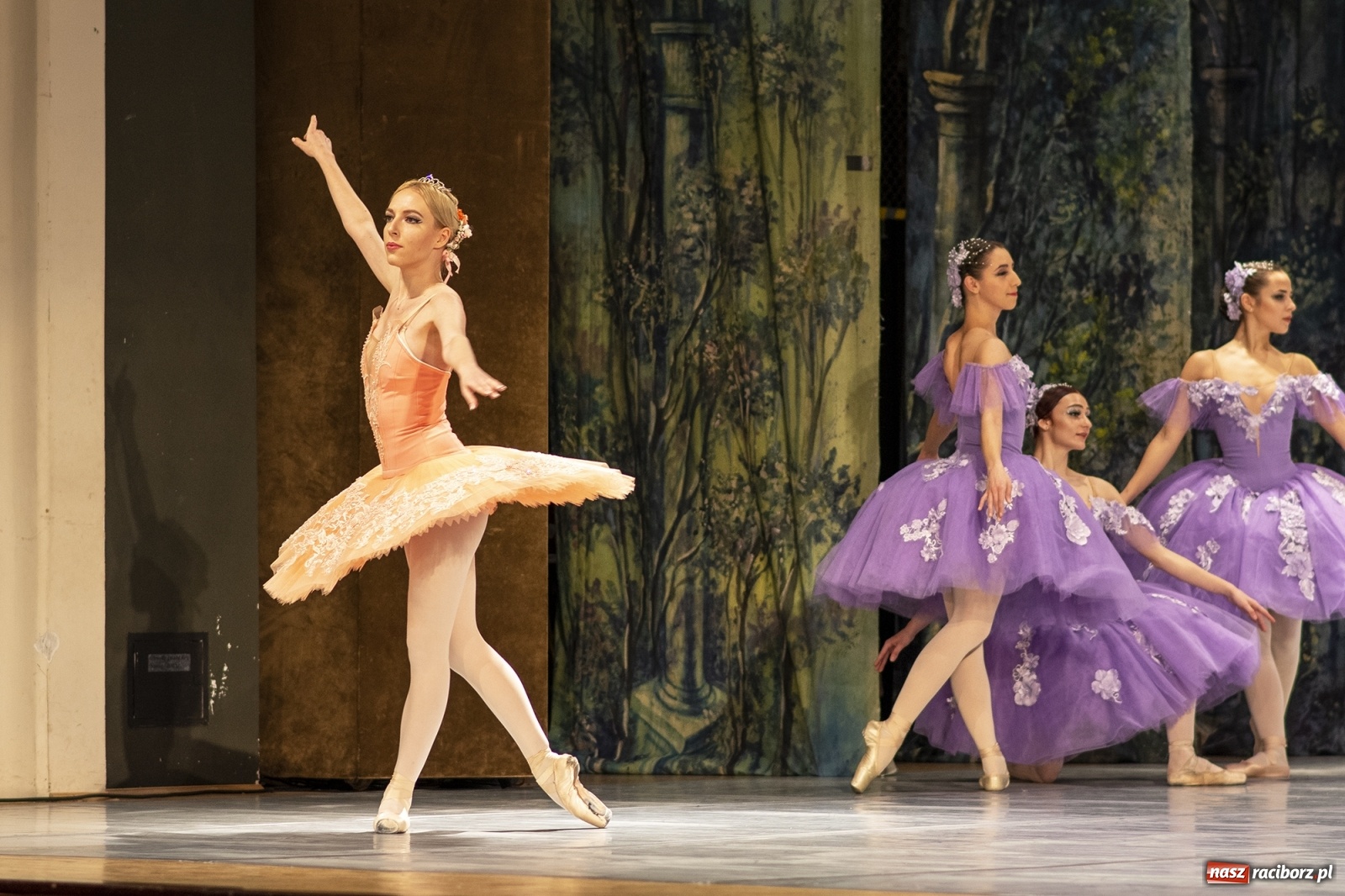 Zdjęcie w galerii na portalu naszraciborz.pl: Śpiąca królewna na deskach RCK [FOTO] wiadomości z regionu