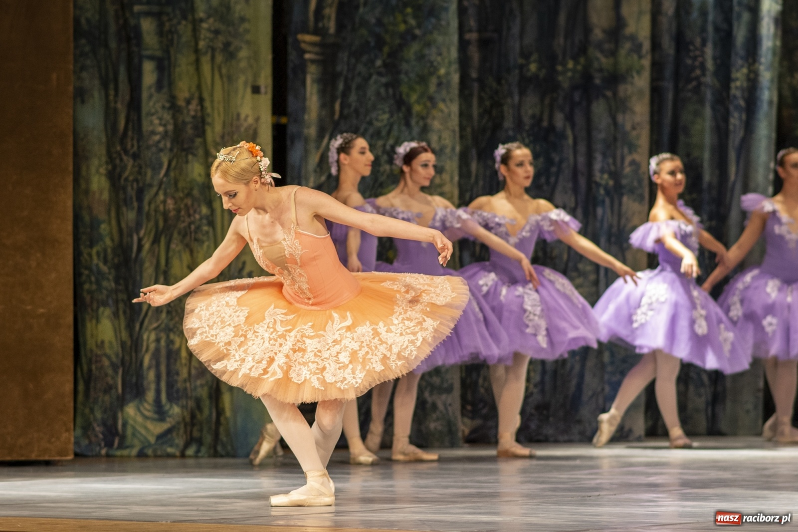 Zdjęcie w galerii na portalu naszraciborz.pl: Śpiąca królewna na deskach RCK [FOTO] wiadomości z regionu