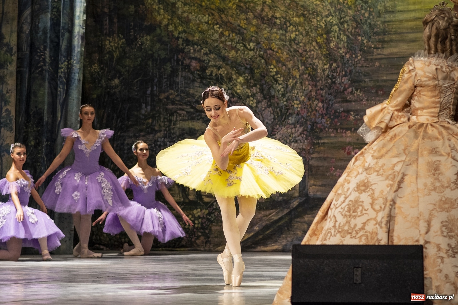 Zdjęcie w galerii na portalu naszraciborz.pl: Śpiąca królewna na deskach RCK [FOTO] wiadomości z regionu