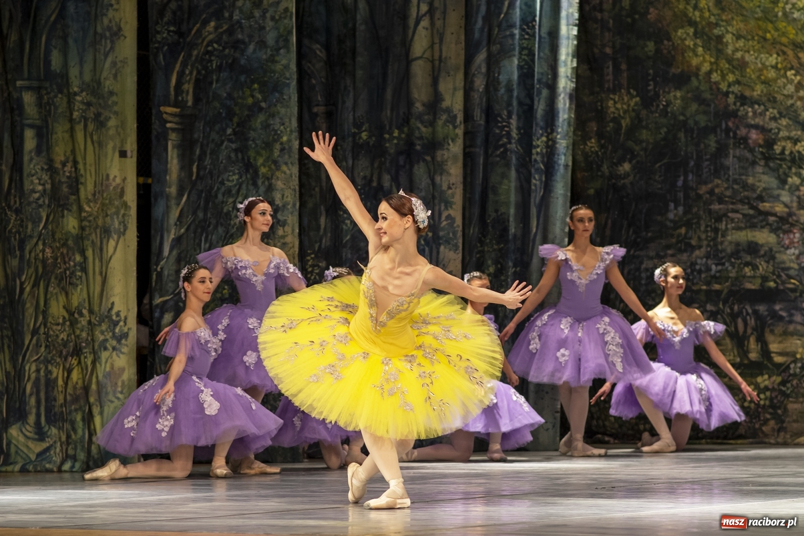 Zdjęcie w galerii na portalu naszraciborz.pl: Śpiąca królewna na deskach RCK [FOTO] wiadomości z regionu