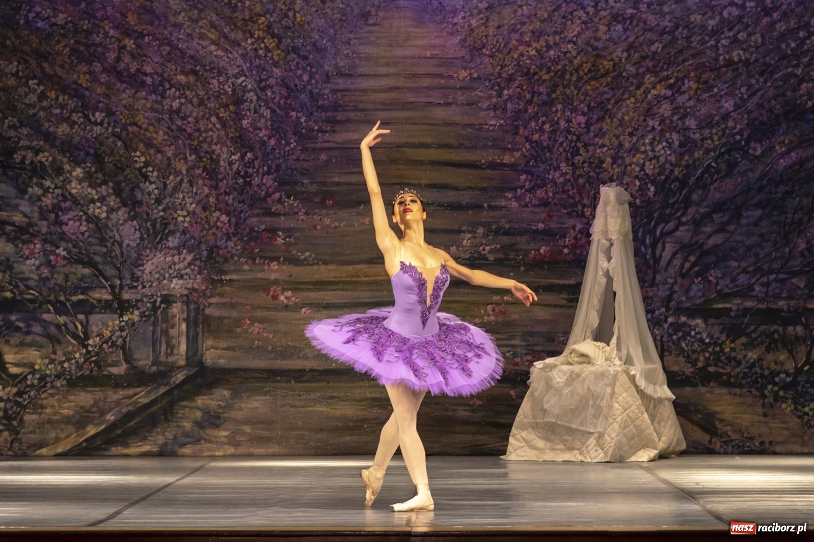 Zdjęcie w galerii na portalu naszraciborz.pl: Śpiąca królewna na deskach RCK [FOTO] wiadomości z regionu