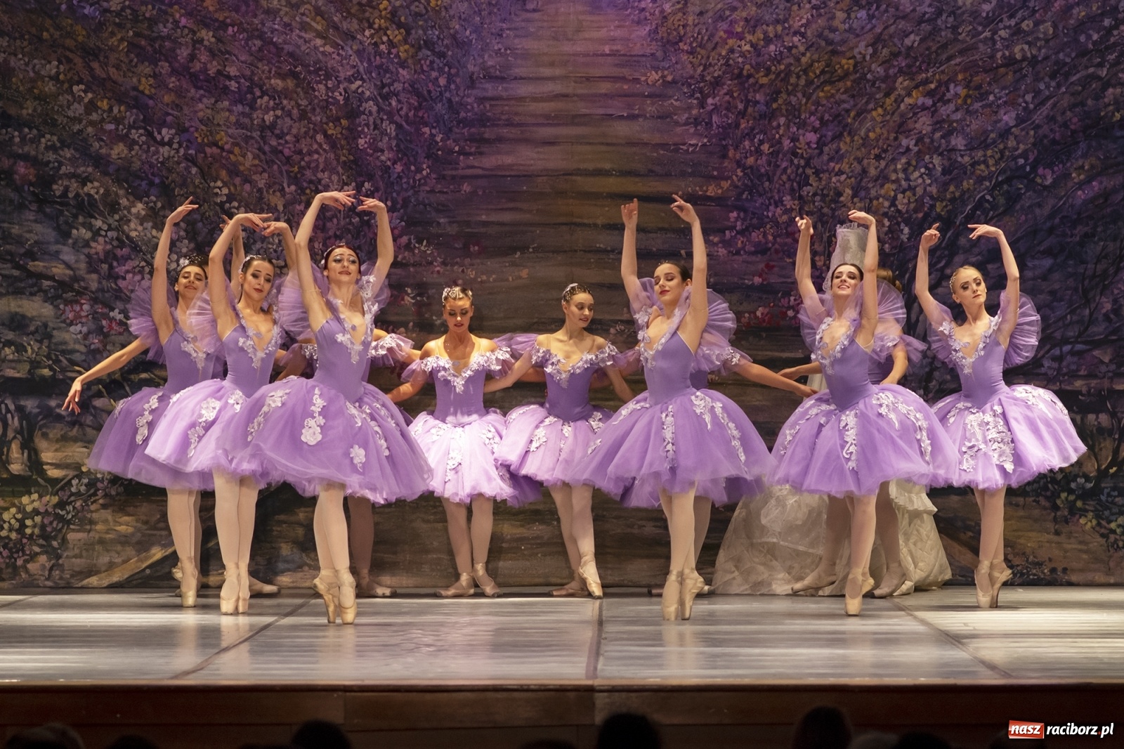 Zdjęcie w galerii na portalu naszraciborz.pl: Śpiąca królewna na deskach RCK [FOTO] wiadomości z regionu