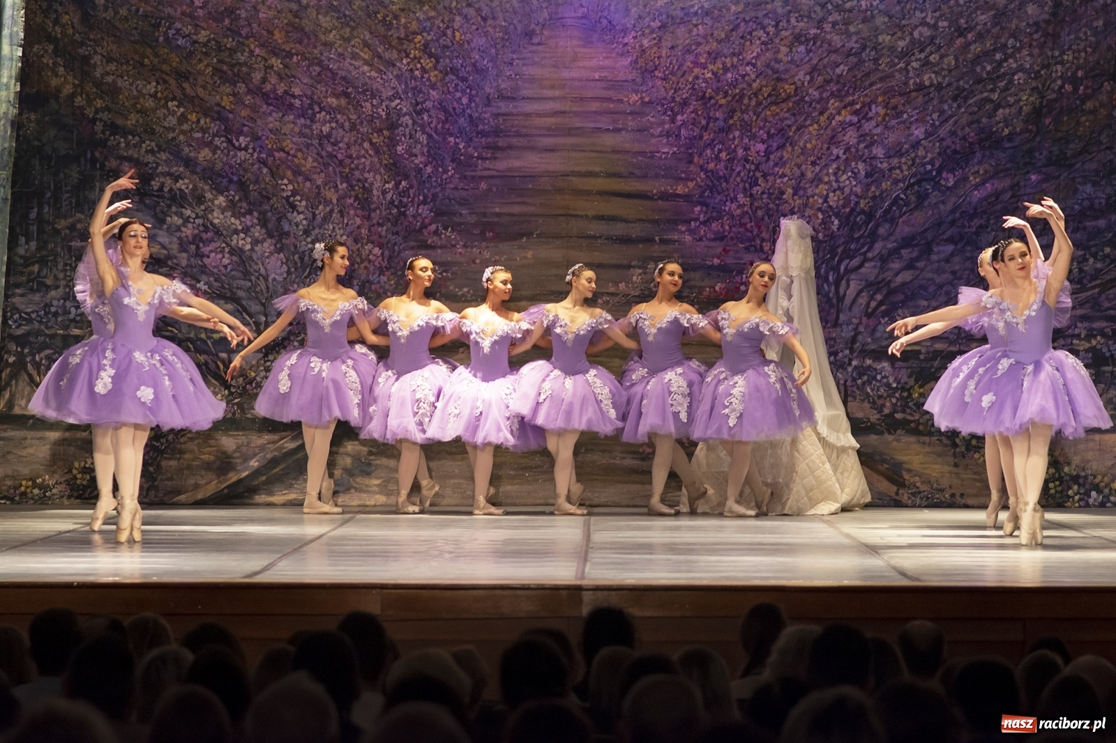 Zdjęcie w galerii na portalu naszraciborz.pl: Śpiąca królewna na deskach RCK [FOTO] wiadomości z regionu