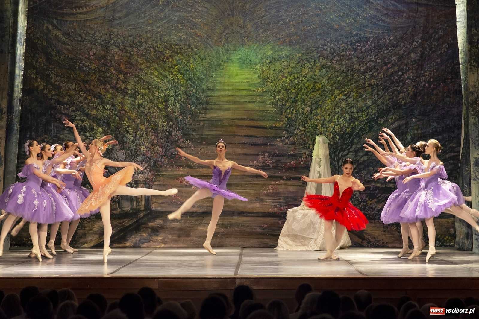 Zdjęcie w galerii na portalu naszraciborz.pl: Śpiąca królewna na deskach RCK [FOTO] wiadomości z regionu