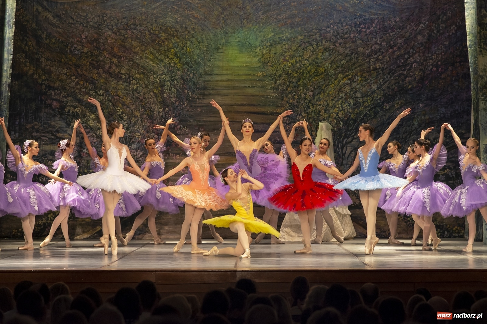 Zdjęcie w galerii na portalu naszraciborz.pl: Śpiąca królewna na deskach RCK [FOTO] wiadomości z regionu