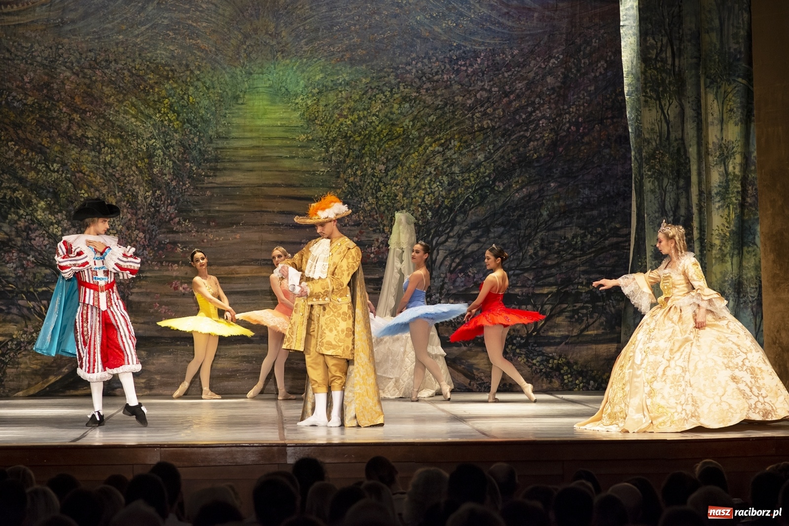 Zdjęcie w galerii na portalu naszraciborz.pl: Śpiąca królewna na deskach RCK [FOTO] wiadomości z regionu