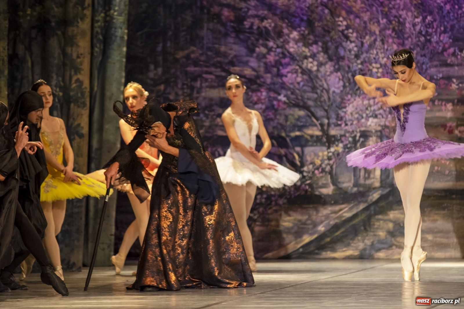 Zdjęcie w galerii na portalu naszraciborz.pl: Śpiąca królewna na deskach RCK [FOTO] wiadomości z regionu
