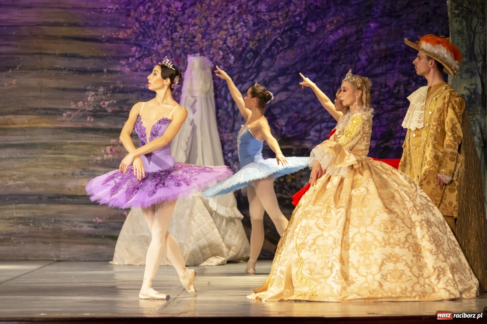 Zdjęcie w galerii na portalu naszraciborz.pl: Śpiąca królewna na deskach RCK [FOTO] wiadomości z regionu