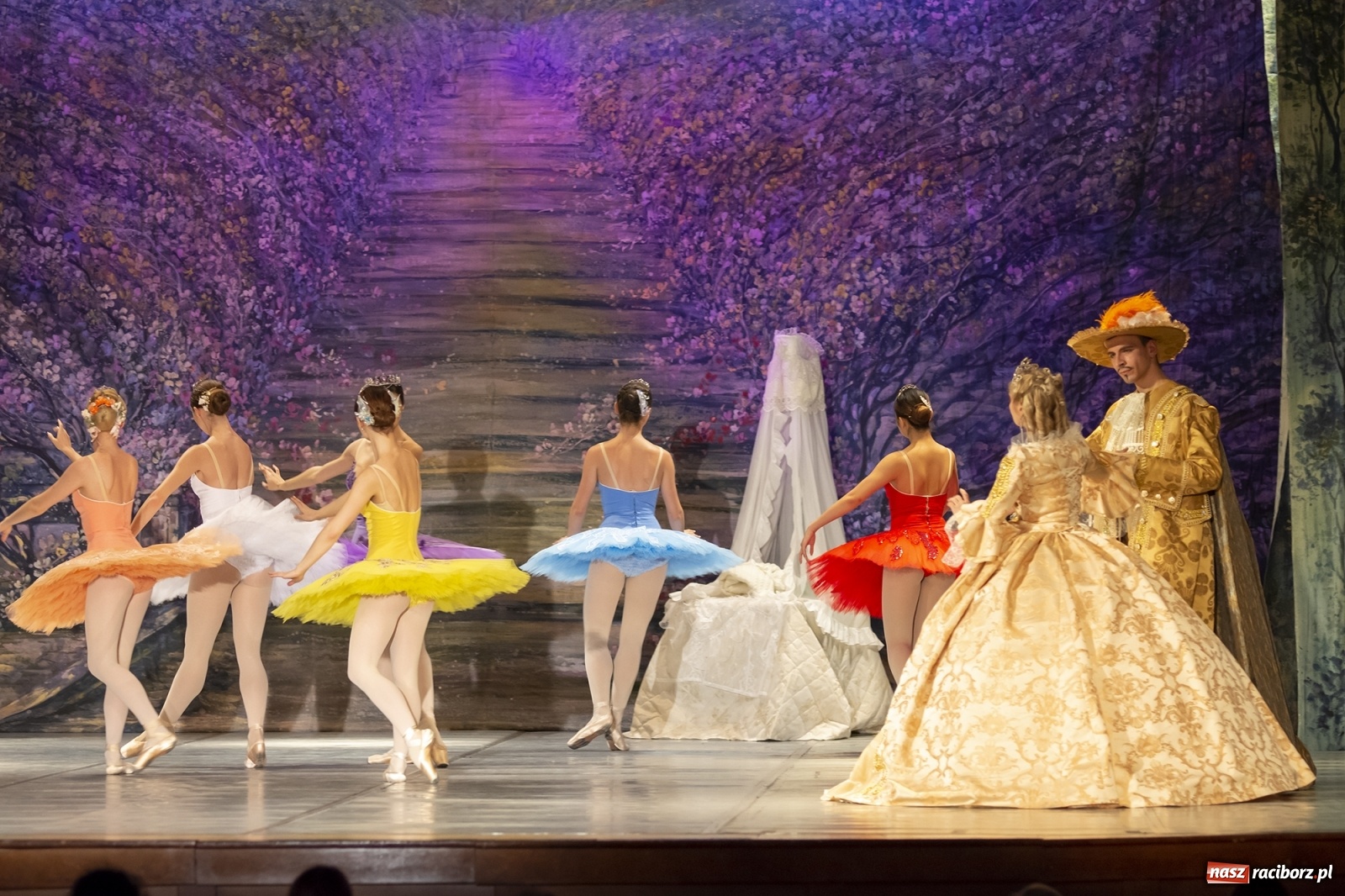 Zdjęcie w galerii na portalu naszraciborz.pl: Śpiąca królewna na deskach RCK [FOTO] wiadomości z regionu