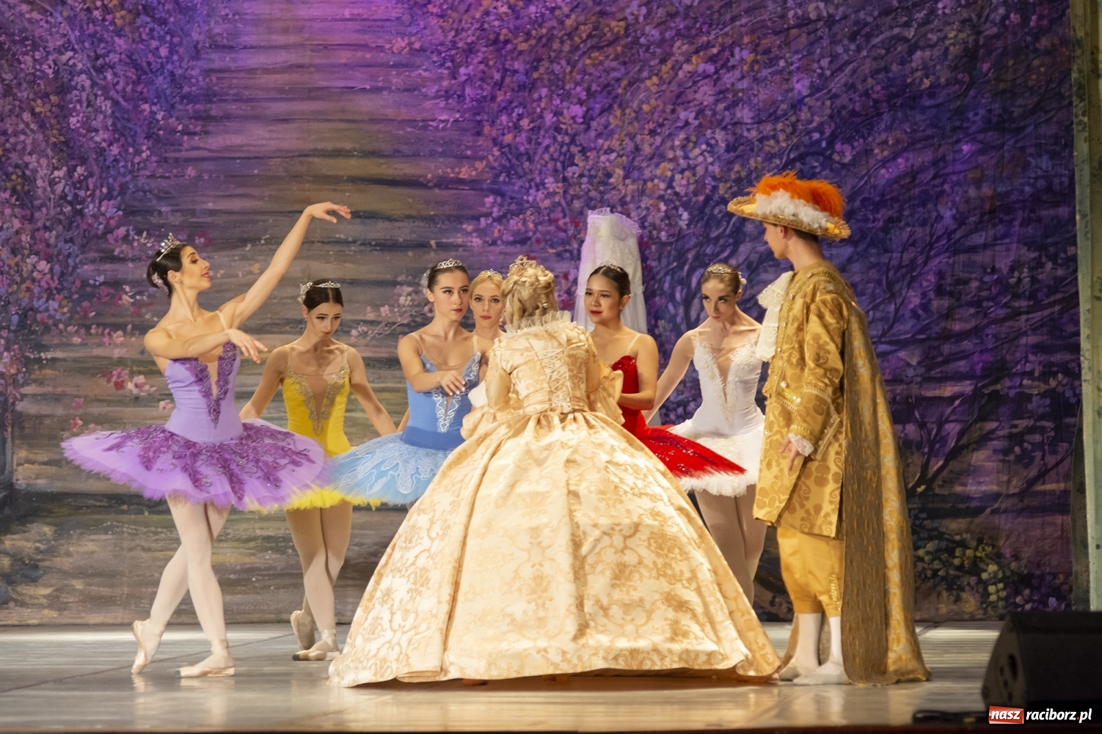 Zdjęcie w galerii na portalu naszraciborz.pl: Śpiąca królewna na deskach RCK [FOTO] wiadomości z regionu