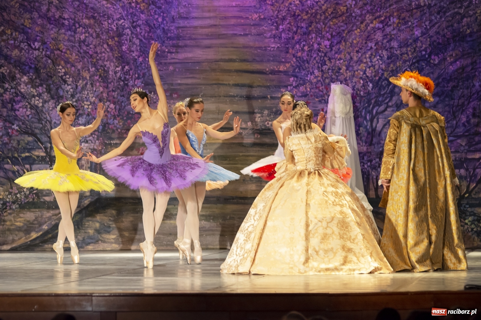 Zdjęcie w galerii na portalu naszraciborz.pl: Śpiąca królewna na deskach RCK [FOTO] wiadomości z regionu