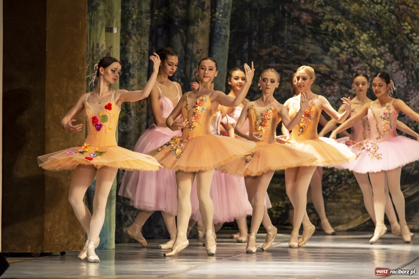 Zdjęcie w galerii na portalu naszraciborz.pl: Śpiąca królewna na deskach RCK [FOTO] wiadomości z regionu