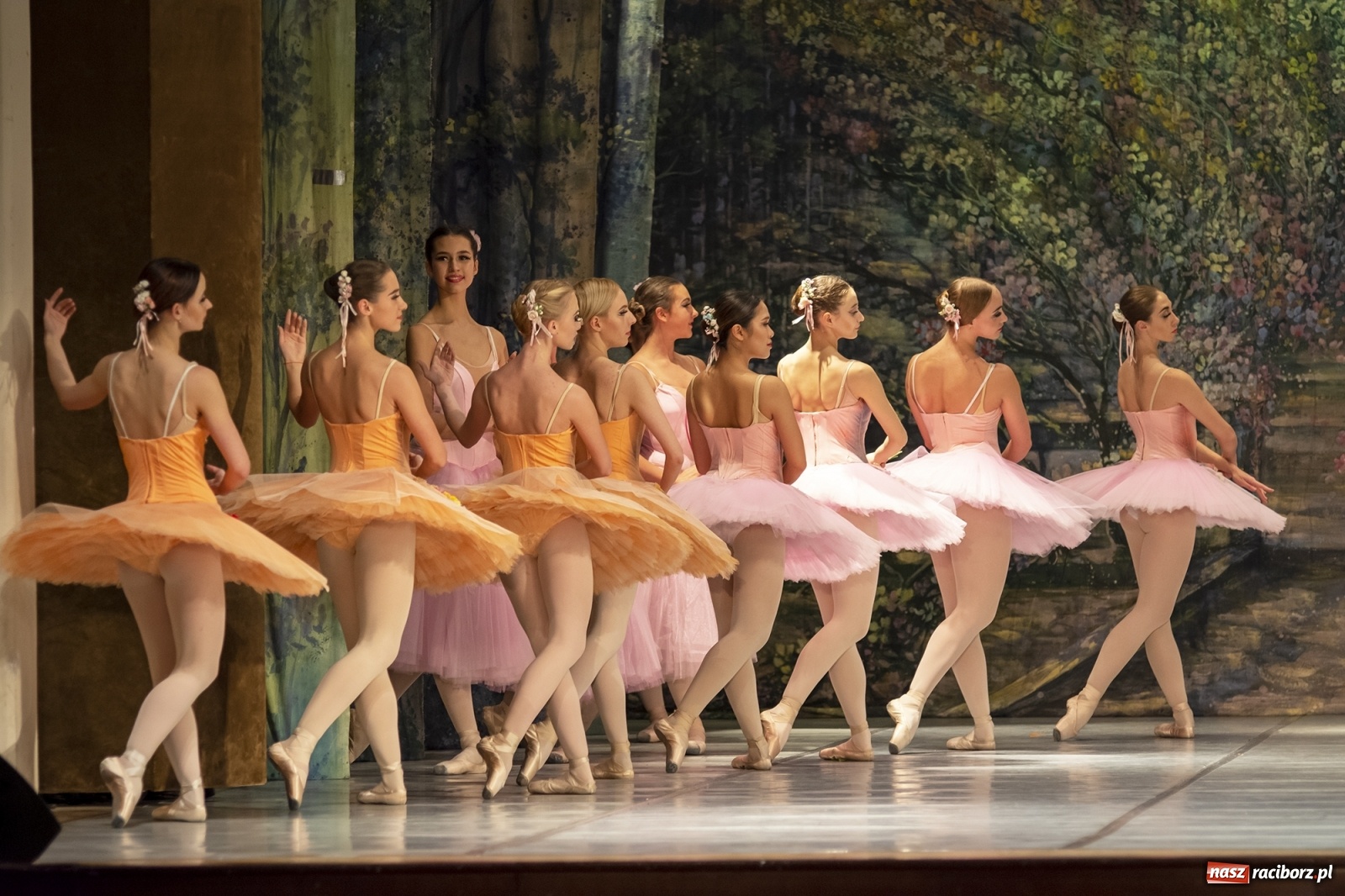 Zdjęcie w galerii na portalu naszraciborz.pl: Śpiąca królewna na deskach RCK [FOTO] wiadomości z regionu