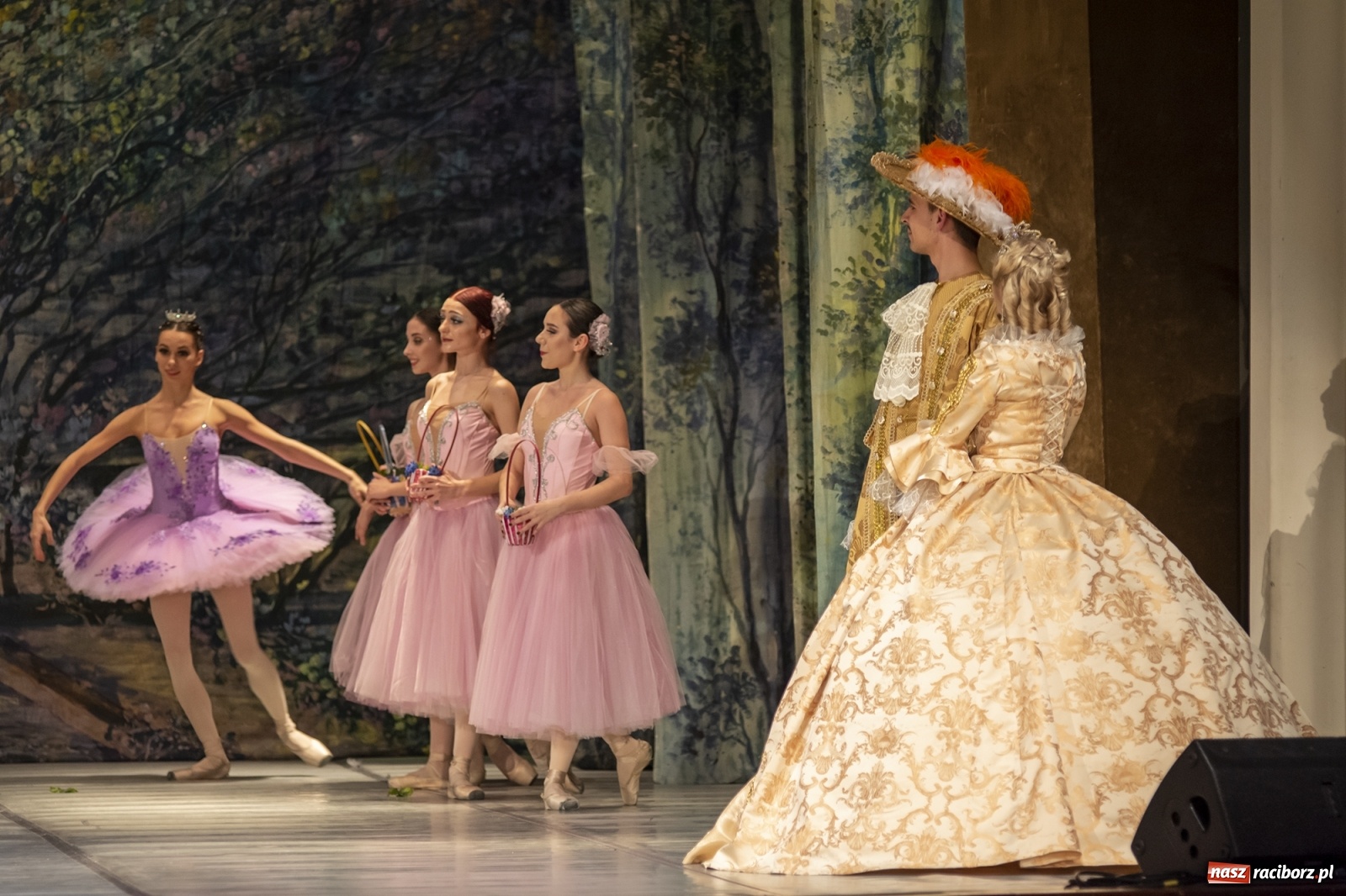 Zdjęcie w galerii na portalu naszraciborz.pl: Śpiąca królewna na deskach RCK [FOTO] wiadomości z regionu