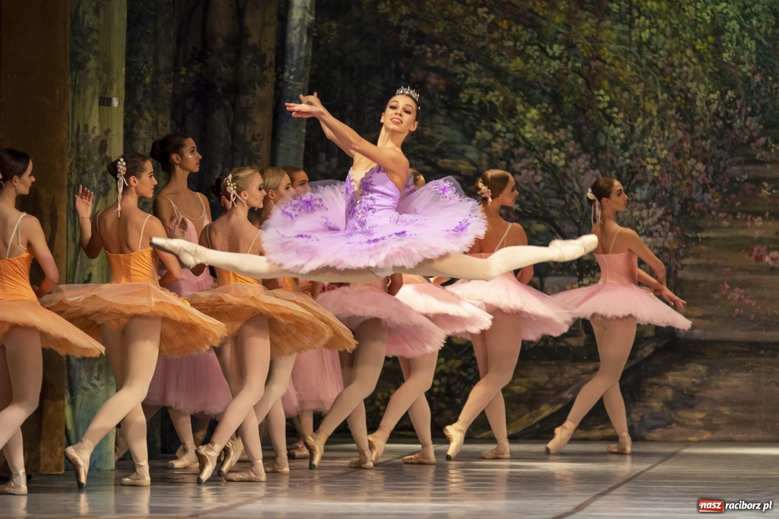 Zdjęcie w galerii na portalu naszraciborz.pl: Śpiąca królewna na deskach RCK [FOTO] wiadomości z regionu