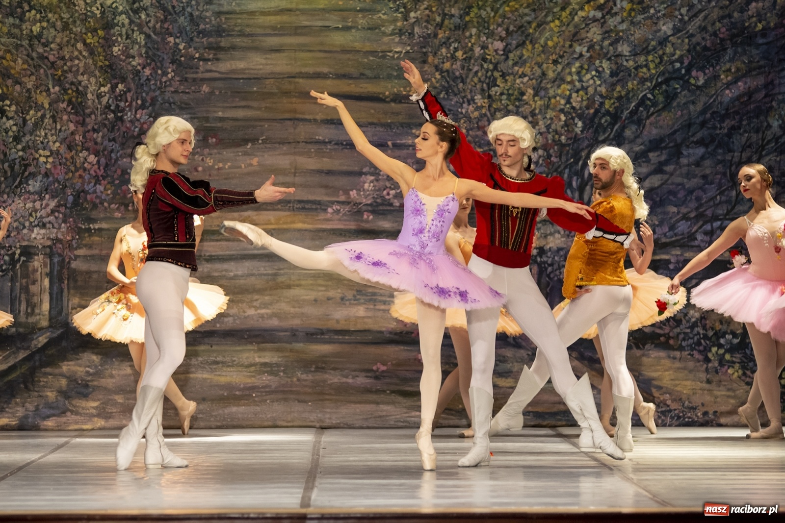 Zdjęcie w galerii na portalu naszraciborz.pl: Śpiąca królewna na deskach RCK [FOTO] wiadomości z regionu